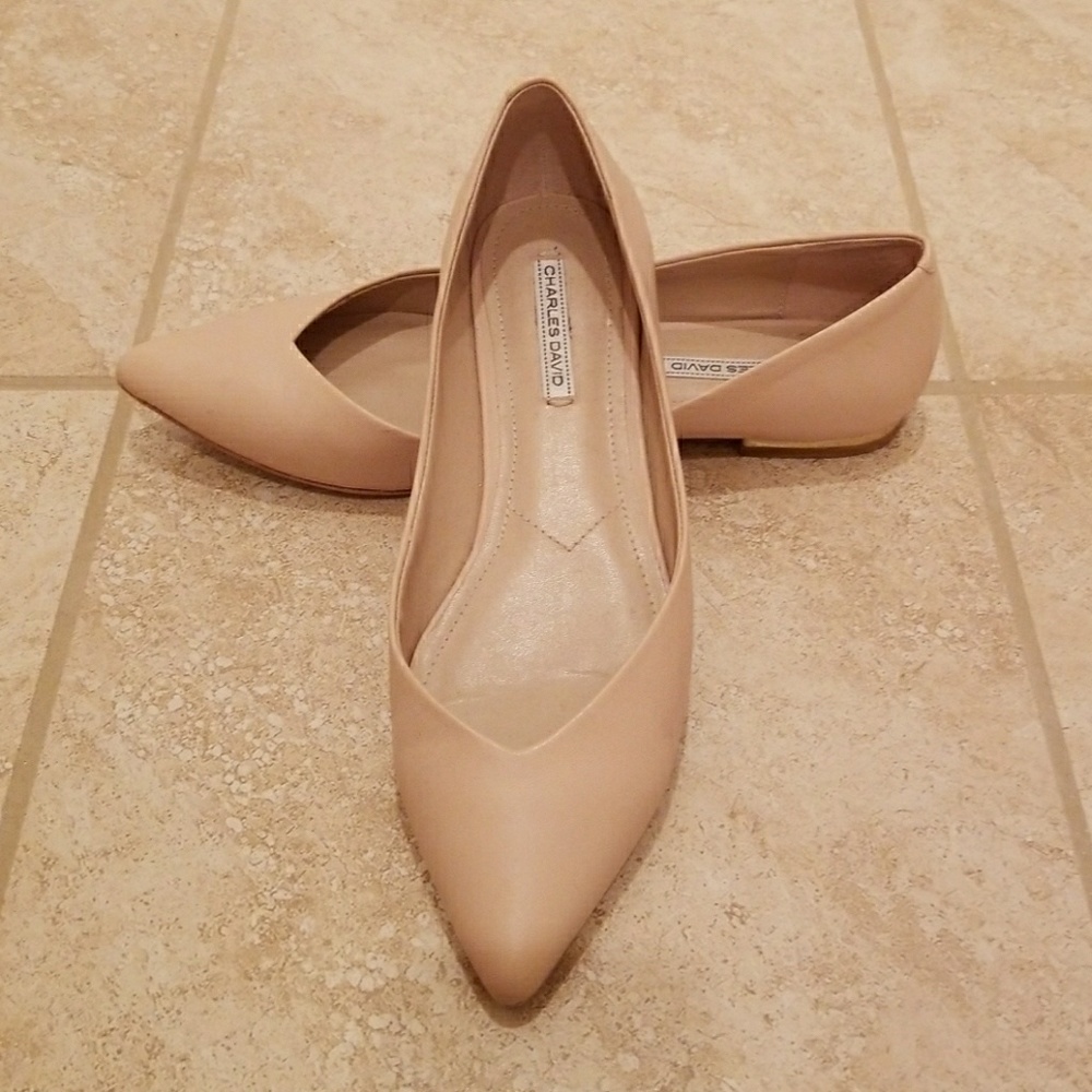 Pointed toe Flats